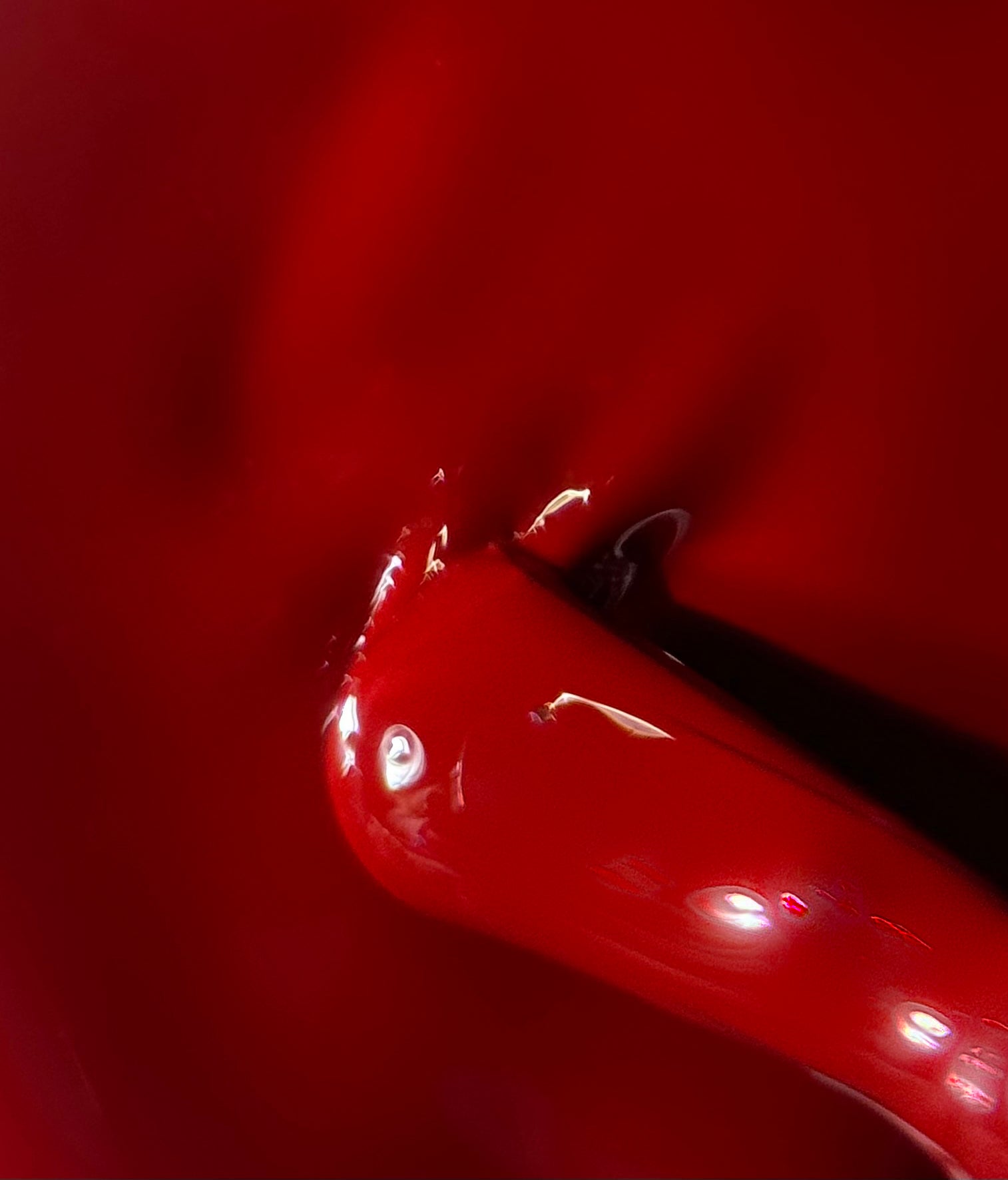 GelPolish50_vollekleur_70008ff8-309a-4d57-a880-b9096aae727e.jpg